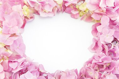 Ortancaların taçyapraklarını çerçevesinden