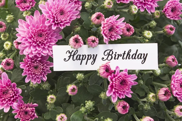 Χαρούμενα γενέθλια κάρτα με ανθοδέσμη ροζ χρυσάνθεμα — Φωτογραφία Αρχείου