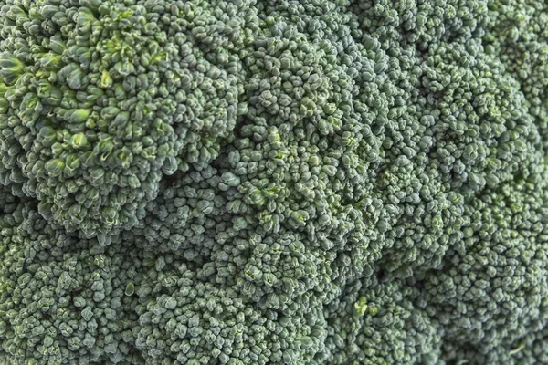 Broccoli close-up als achtergrond — Stockfoto