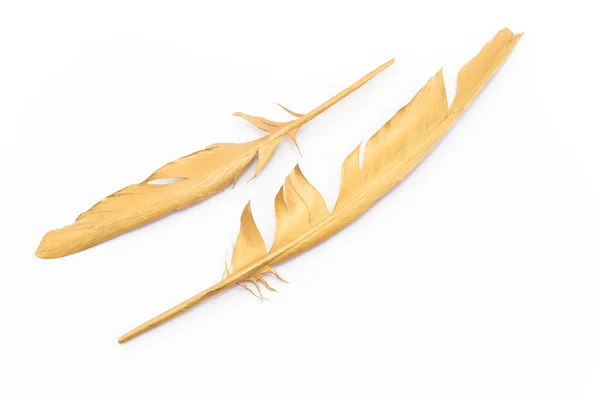 Dos plumas de oro aisladas en blanco — Foto de Stock