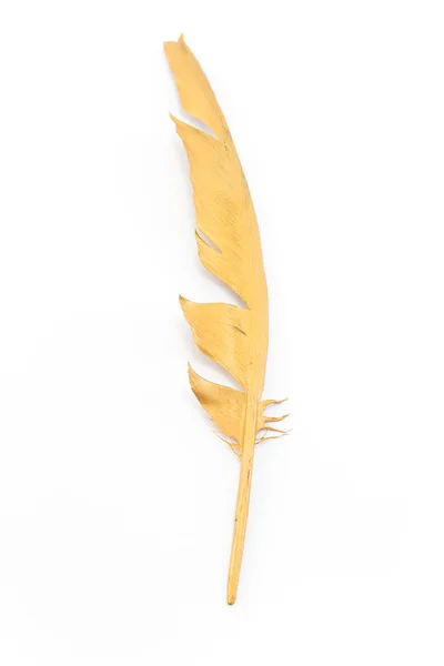 Золотое перо, изолированное на белом — стоковое фото