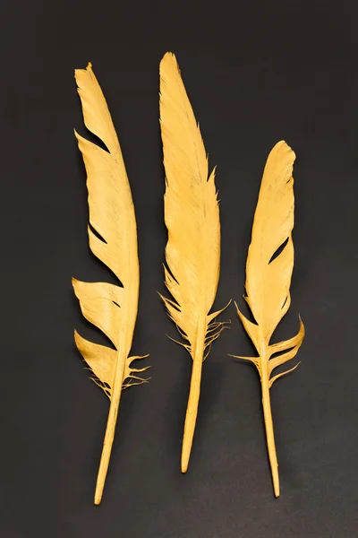 Trzy złote pióra na czarnym tle — Zdjęcie stockowe