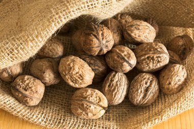 Jüt çuval içinde olgunlaşmış ceviz