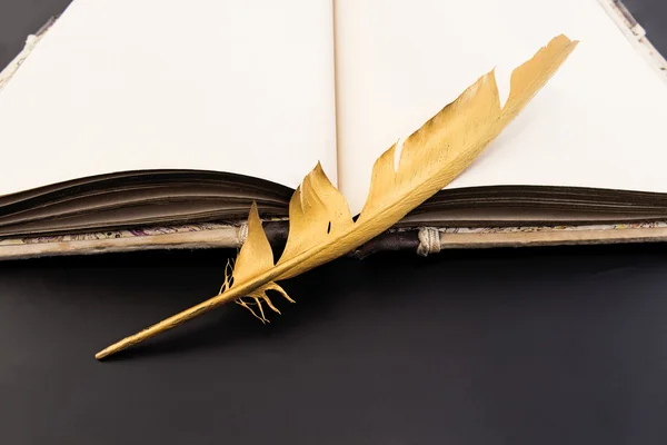 Altın tüy ve siyah bir arka plan üzerinde kitap