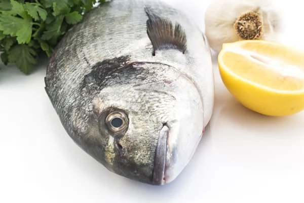 Dorada de peixe com salsa, alho e limão — Fotografia de Stock