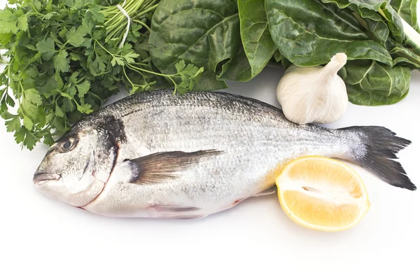 Fisk dorade med Mangold, persilja, vitlök och citron — Stockfoto