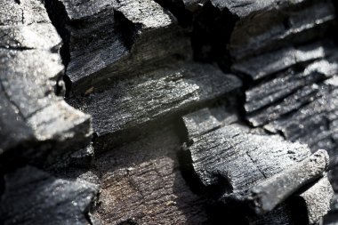 Ağaç kömürler için yanmış.