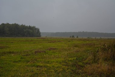 Belarus 'un açık alanları