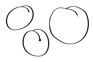 Şeftali. siluet siyah vektör.