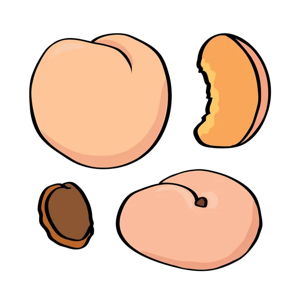 Cute peaches, illustration — Stock Vector