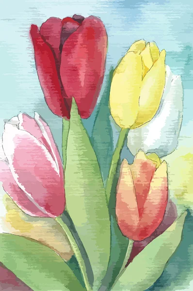 Ilustração vetorial de tulipas. Ilustração floral aquarela . — Vetor de Stock