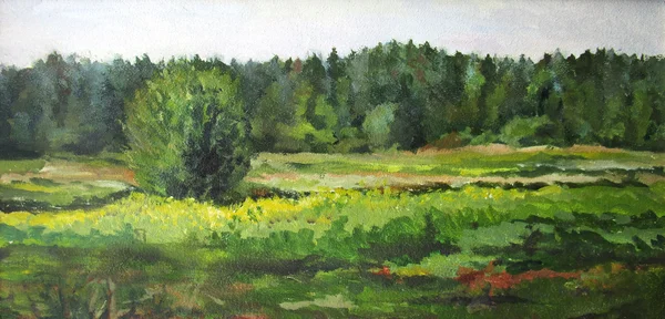 Yaz, yatay, ağaç ve çalı