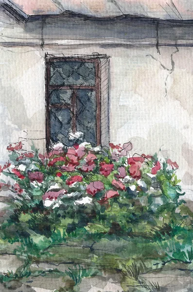 Okna i kwiaty, akwarela — Zdjęcie stockowe