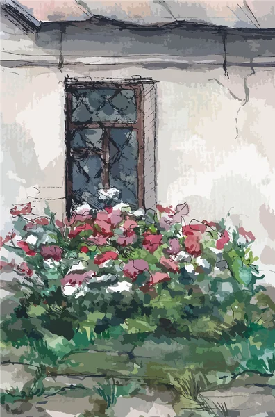Okno a květiny, akvarel — Stockový vektor