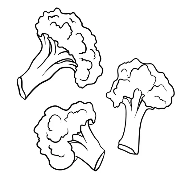 白い背景に分離された野菜ブロッコリーのクローズ アップ — ストックベクタ