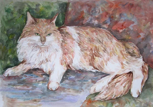 Belo gato beuge deitado em um sofá, arte aquarela — Fotografia de Stock