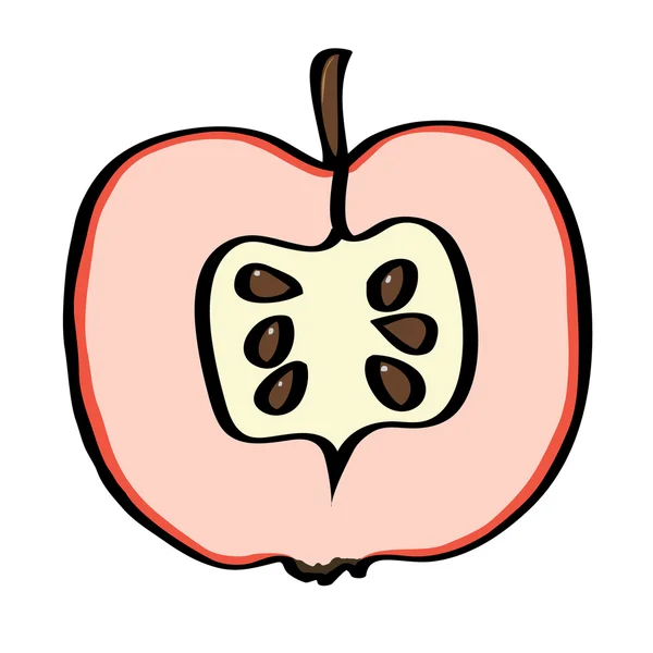 Vector εικονογράφηση μήλο σε λευκό φόντο. — Διανυσματικό Αρχείο