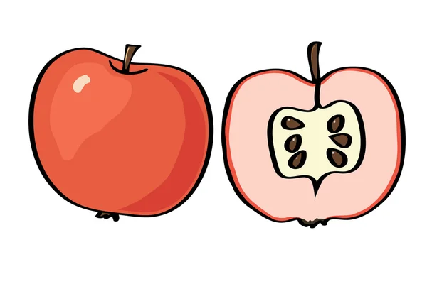 Vector εικονογράφηση μήλο σε λευκό φόντο. — Διανυσματικό Αρχείο
