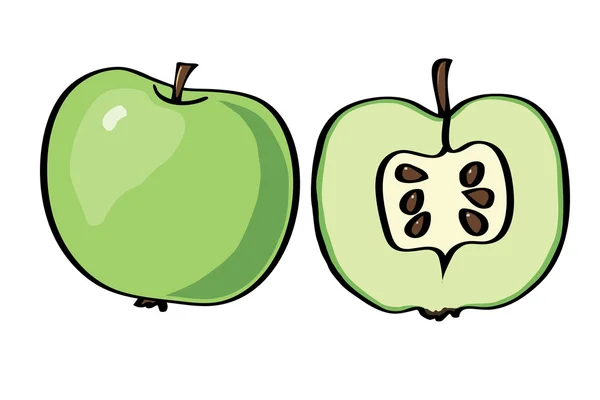 Vector illustratie apple op een witte achtergrond. — Stockvector