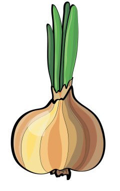 Beyaz arka planda turuncu taze soğan. 