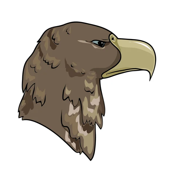 Head of eagle — Stock Vector
