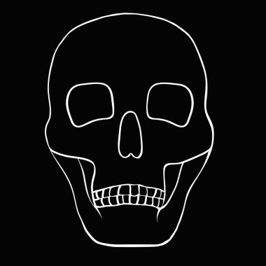 bir insan kafatası çizimi.