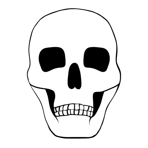 Illustration av en mänsklig skalle. — Stock vektor