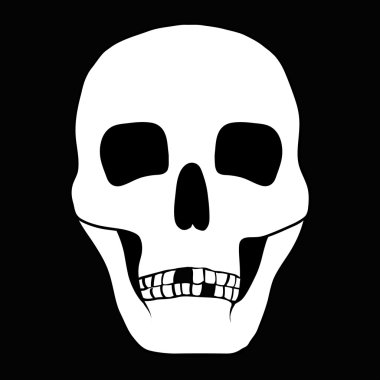 bir insan kafatası çizimi.