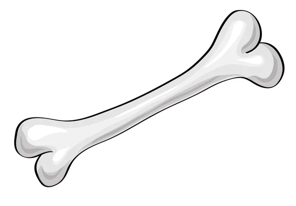 Knochen. Vektorillustration — Stockvektor