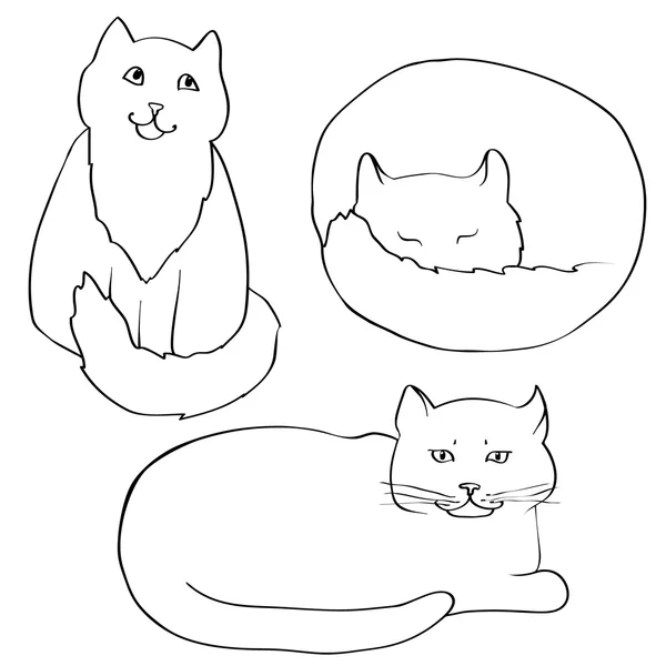 Contour d'un chat — Image vectorielle