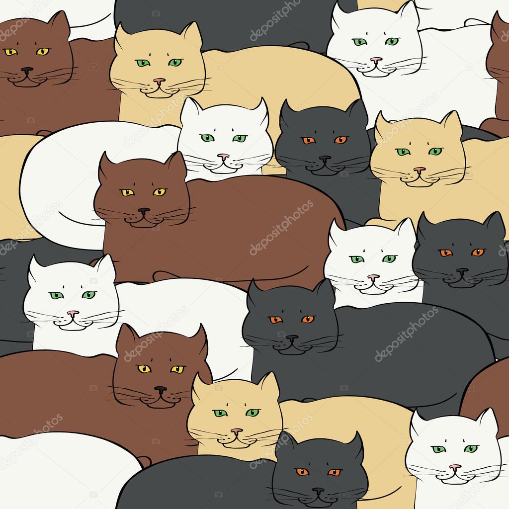 Fond transparent avec des chats britanniques \u2014 Image