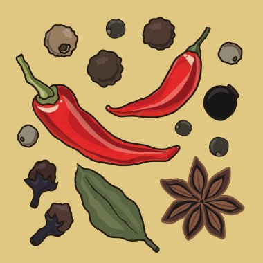 farklı baharat seti.