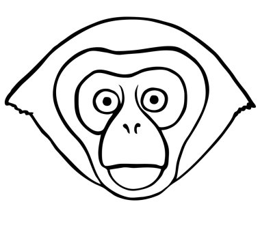 Vektör süslü maymun kafası.