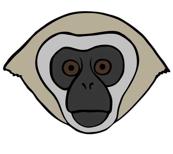 Cabeza de mono adornada vectorial . — Vector de stock