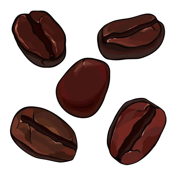 Dark coffee beans — Stock Vector