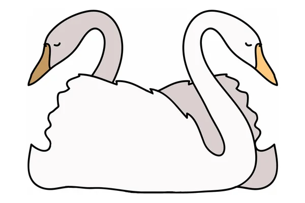 Векторная иллюстрация влюбленных двух лебедей — стоковый вектор
