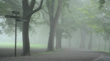 Koşucu bir sisli sabahı