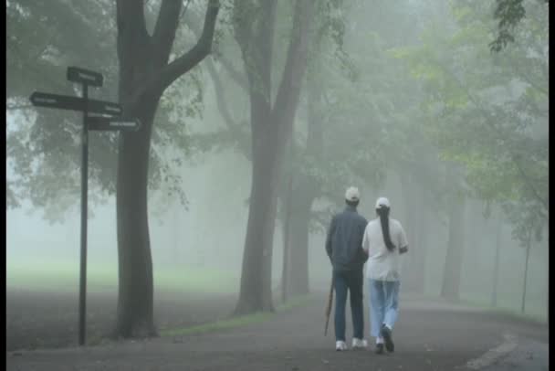 Coppia passeggiando nel parco nebbioso — Video Stock
