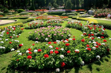 Renkli çiçek bahçesinde Mae Fah Luang, Chiang Rai, Tayland