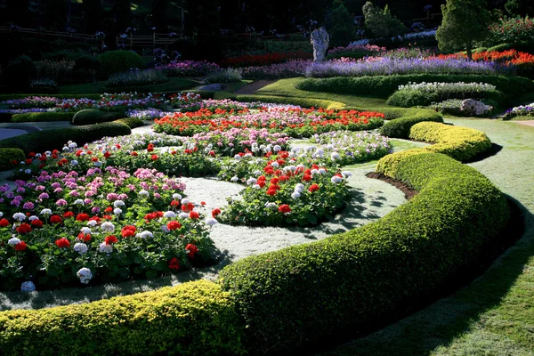 Renkli çiçek bahçesinde Mae Fah Luang, Chiang Rai, Tayland
