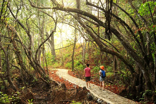 Járni az utat az esőerdők a Tarutao nemzeti tengeri Park, szigetek — Stock Fotó