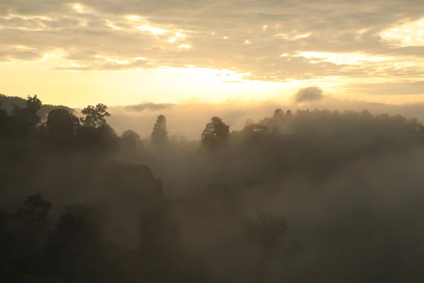 Paisaje vista de la selva tropical en la niebla por la mañana en la montaña, Parque Nacional Doi Inthanon, Chiang Mai, Tailandia — Foto de Stock