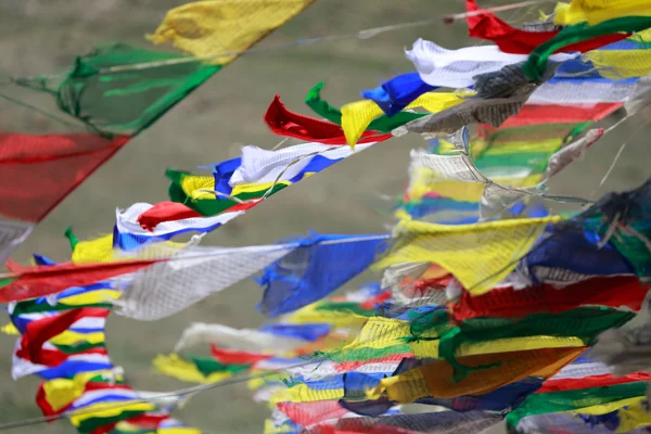 Primer plano de las banderas de oración budistas tibetanos en el norte de la India. — Foto de Stock