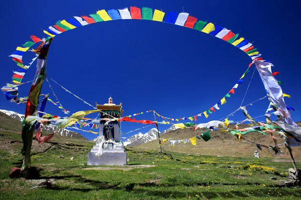 Tibetische buddhistische Gebetsfahnen und Stupa auf einem Wildblumenfeld in — Stockfoto