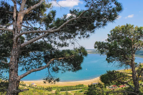 Tbilisi sea coast through the pines