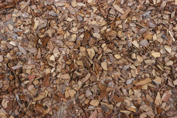 Wood mulch brown — Stock Photo, Image