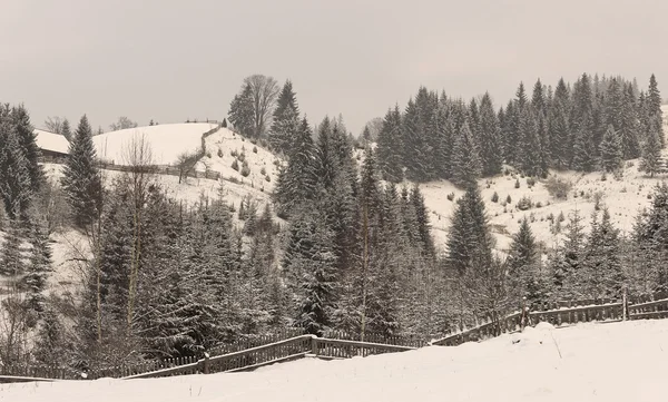 Zimní venkovská krajina — Stock fotografie