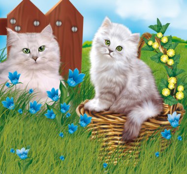 kedi, köpek yavrusu, doğa, ev ile ilgili hayvan, çocuk, Bebek
