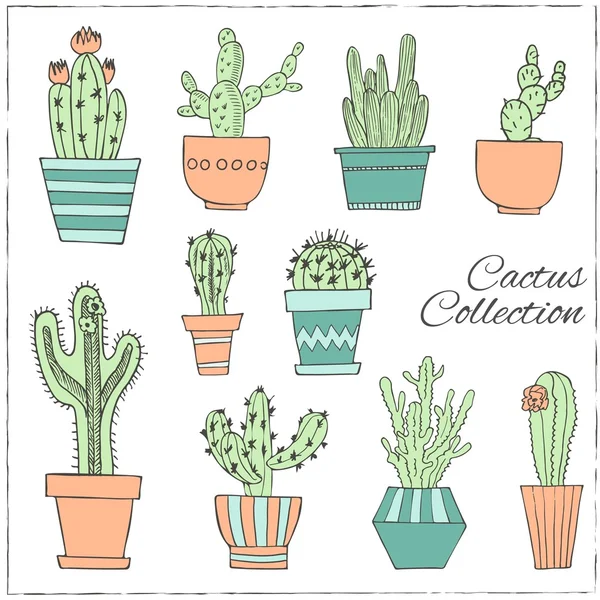 Conjunto dibujado a mano de cactus en las ollas . — Vector de stock