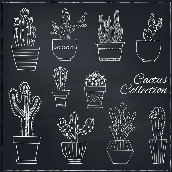 Conjunto dibujado a mano de cactus en las ollas . — Vector de stock